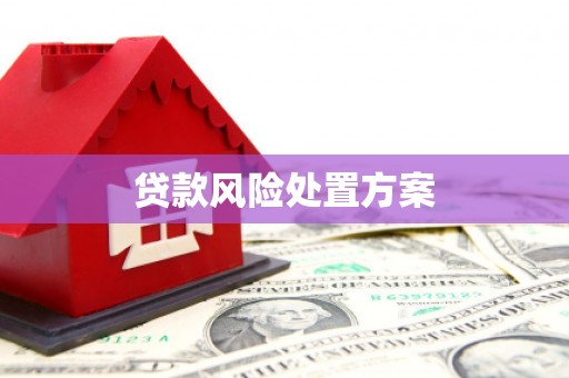 岭东贷款风险处置方案