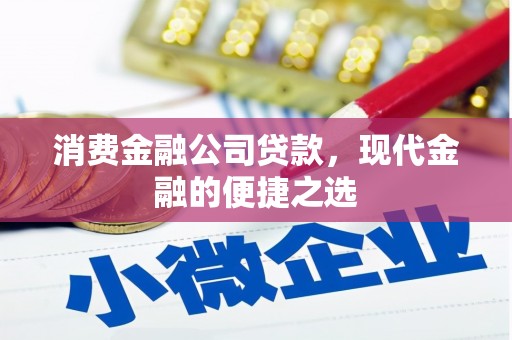 岭东消费金融公司贷款，现代金融的便捷之选