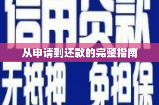 岭东从申请到还款的完整指南