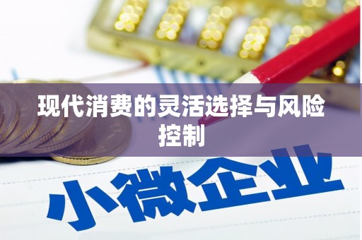 岭东现代消费的灵活选择与风险控制