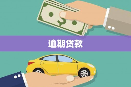 岭东逾期贷款