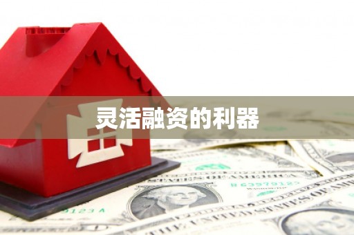 岭东灵活融资的利器