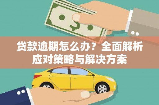 岭东贷款逾期怎么办？全面解析应对策略与解决方案