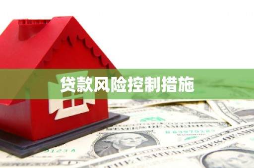 岭东贷款风险控制措施