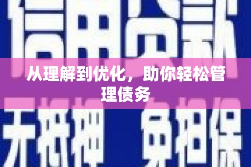 岭东从理解到优化，助你轻松管理债务