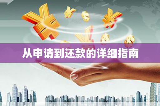 岭东从申请到还款的详细指南
