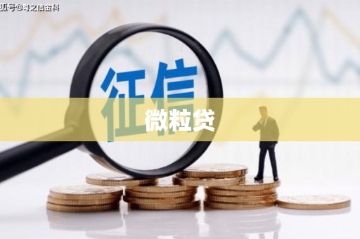 岭东微粒贷