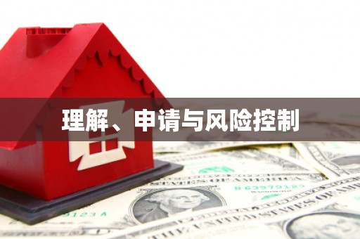 岭东理解、申请与风险控制