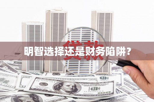 岭东明智选择还是财务陷阱？