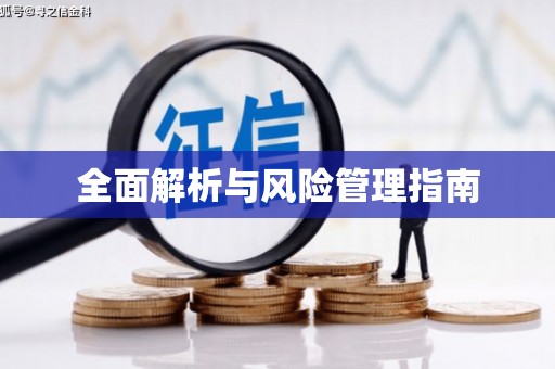 岭东全面解析与风险管理指南