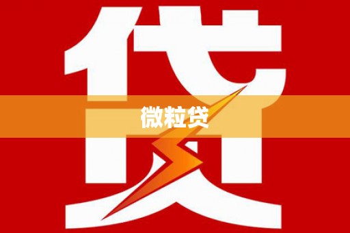 岭东微粒贷