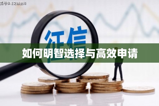 岭东如何明智选择与高效申请