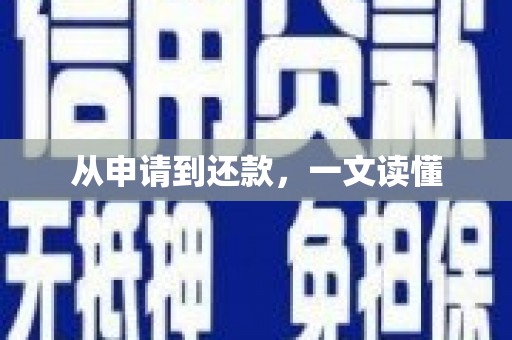 岭东从申请到还款，一文读懂