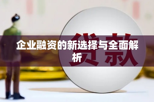 岭东企业融资的新选择与全面解析