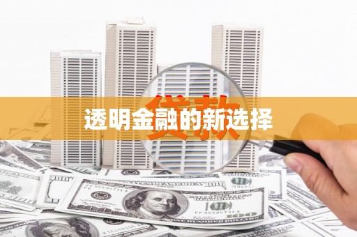 岭东透明金融的新选择