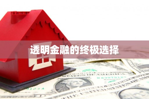 岭东透明金融的终极选择