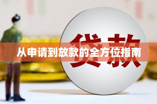 岭东从申请到放款的全方位指南
