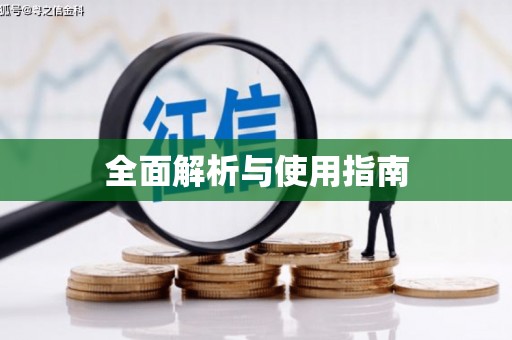 岭东全面解析与使用指南