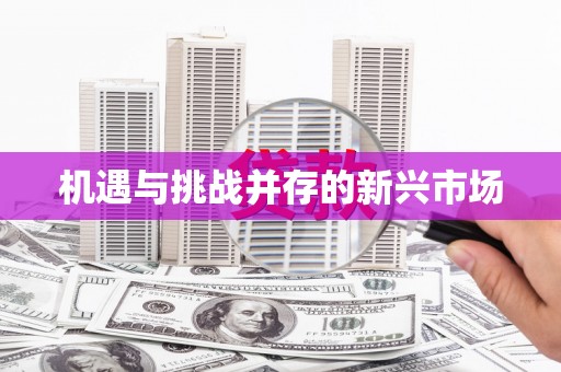 岭东机遇与挑战并存的新兴市场