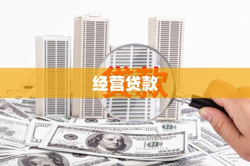 岭东经营贷款