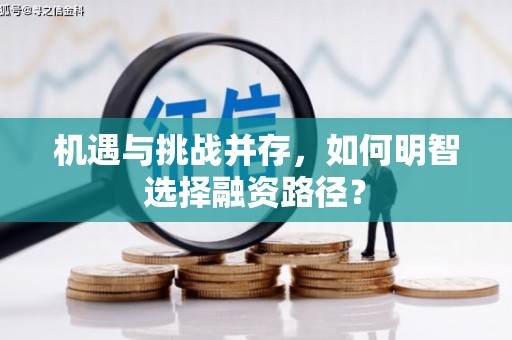 岭东机遇与挑战并存，如何明智选择融资路径？