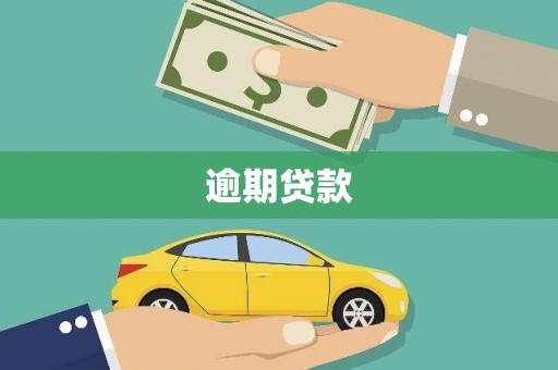 岭东逾期贷款