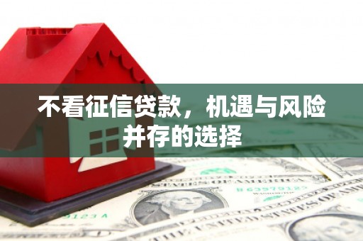 岭东不看征信贷款，机遇与风险并存的选择