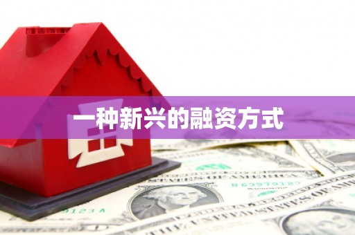 岭东一种新兴的融资方式