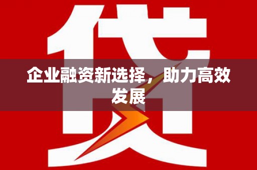 岭东企业融资新选择，助力高效发展