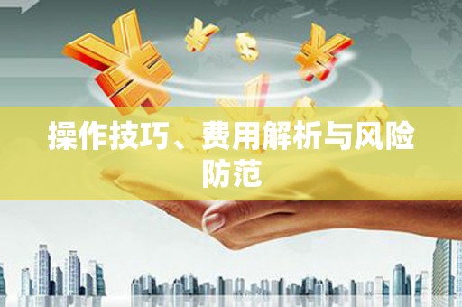 岭东操作技巧、费用解析与风险防范