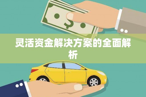 岭东灵活资金解决方案的全面解析