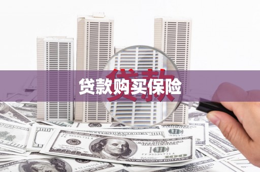岭东贷款购买保险