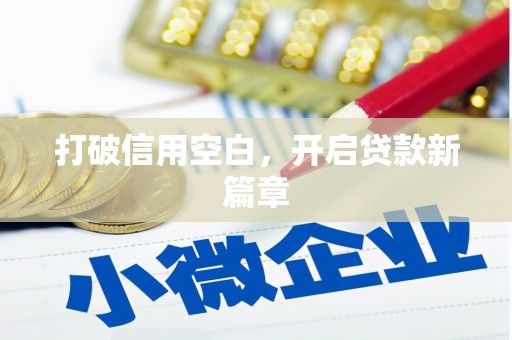 岭东打破信用空白，开启贷款新篇章