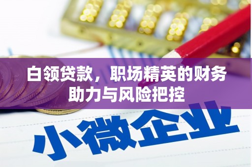 岭东白领贷款，职场精英的财务助力与风险把控