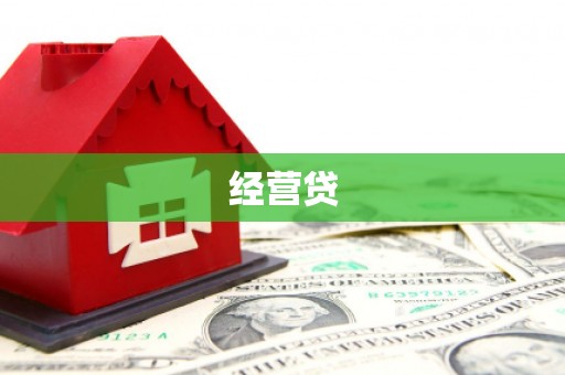 岭东经营贷