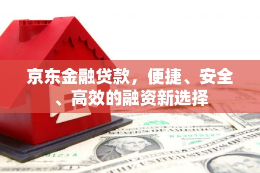 岭东京东金融贷款，便捷、安全、高效的融资新选择