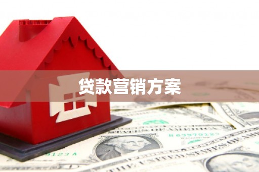 岭东贷款营销方案